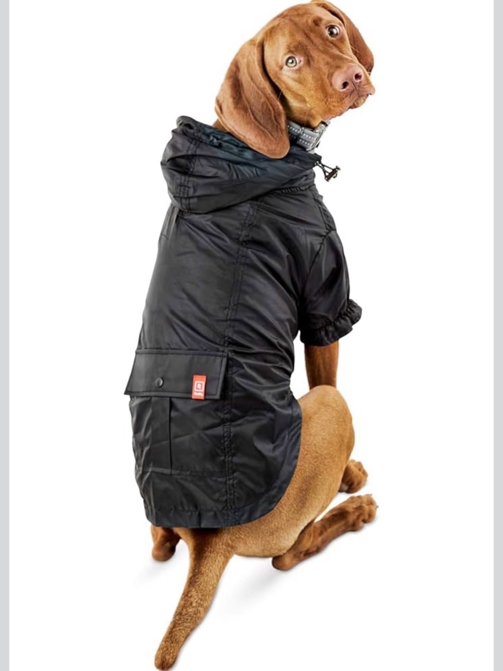 Reddy Black Mesh-Lined Dog Rain Jacket
